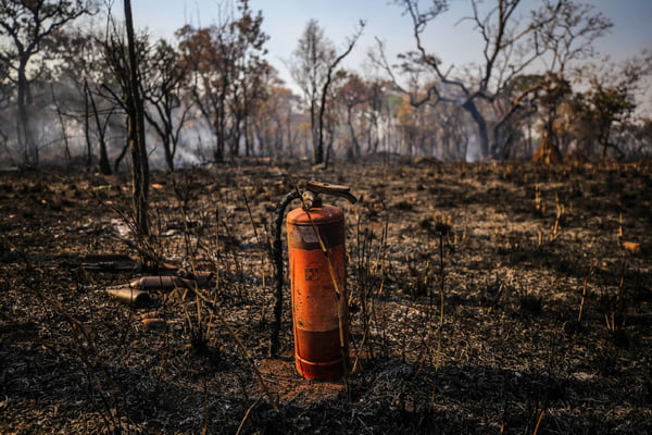 Queimadas no Cerrado em 2024 já superam o acumulado de 2023