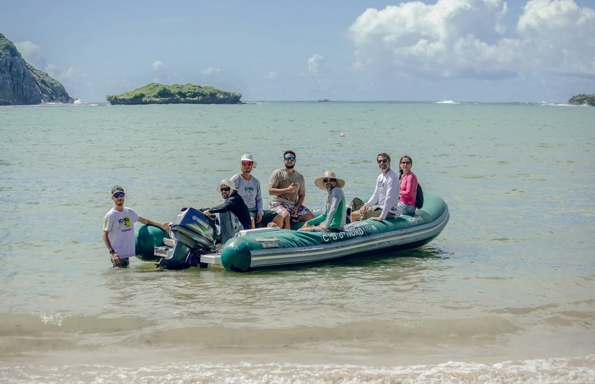 Receptor acústico na Praia do Sueste vai monitorar tubarões em Fernando de Noronha | Viver Noronha