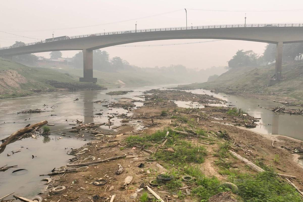 Rio Acre atinge menor nível da história em Rio Branco – 22/09/2024 – Cotidiano