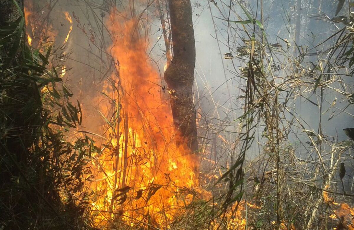 Rio: Justiça transforma em preventiva prisão de acusado de incêndio