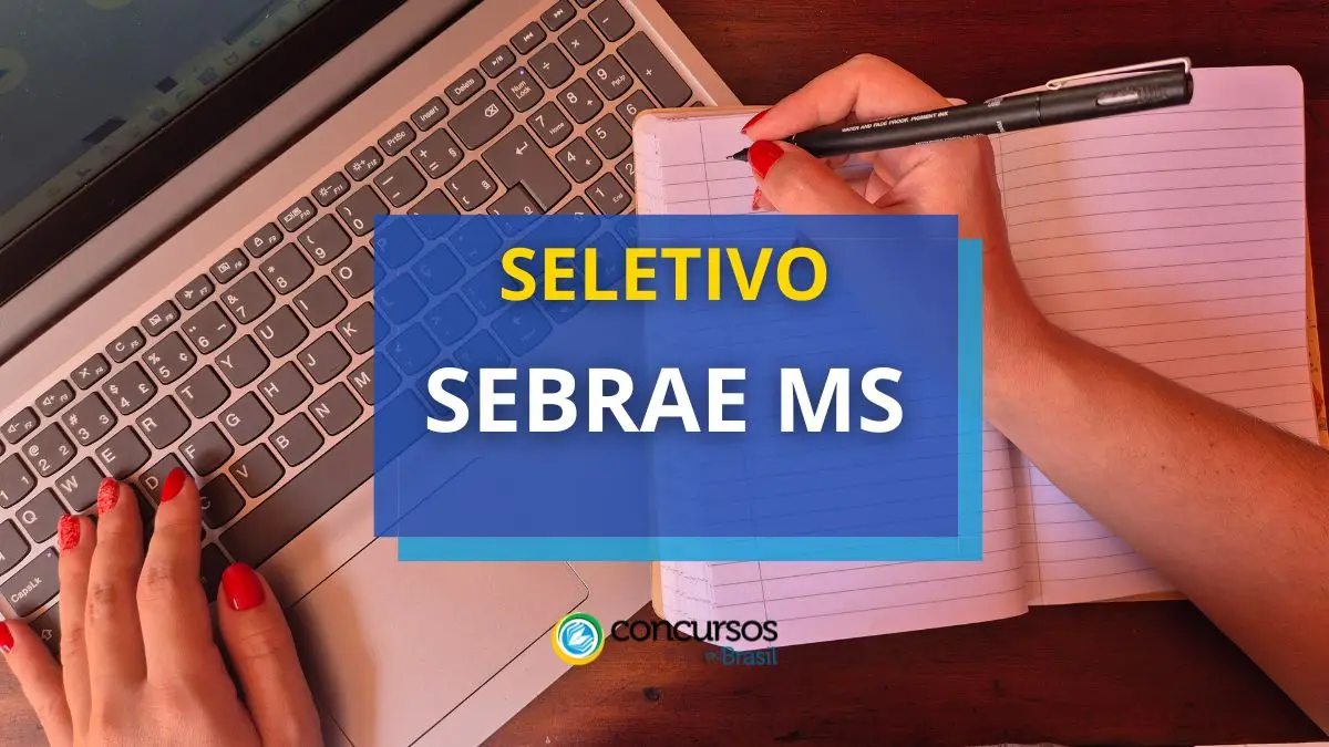 SEBRAE MS oferta 231 vagas para bolsistas em Inovação