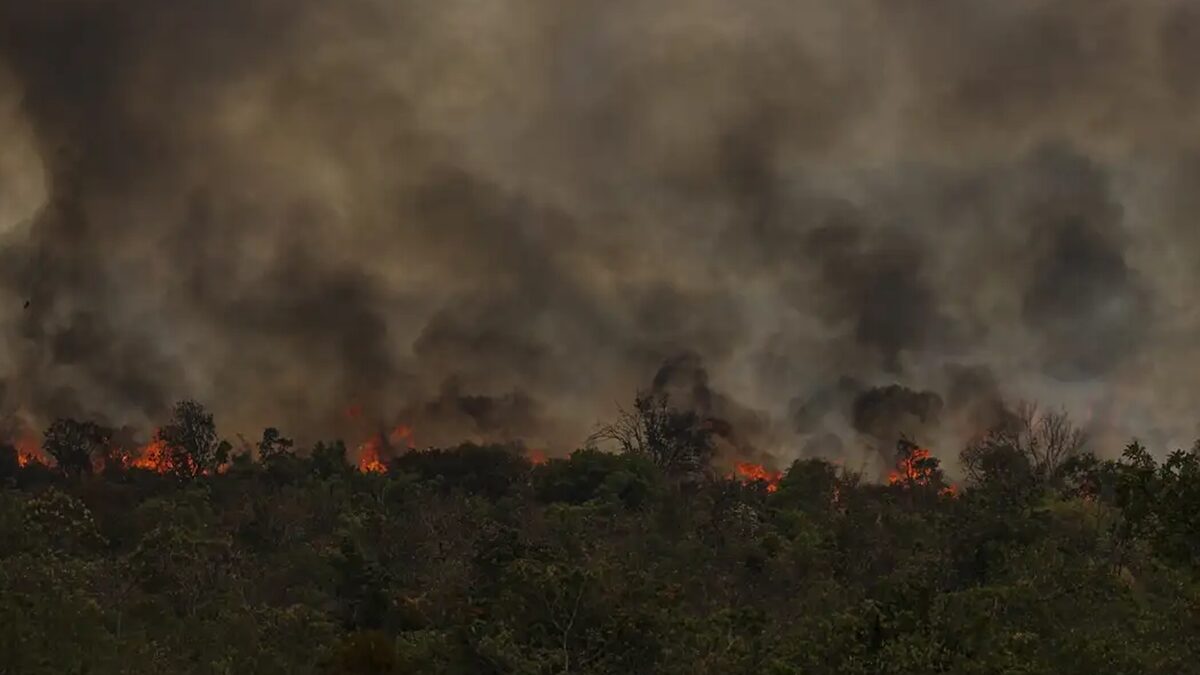 Secretário do MMA vê conotação política em queimadas na Amazônia