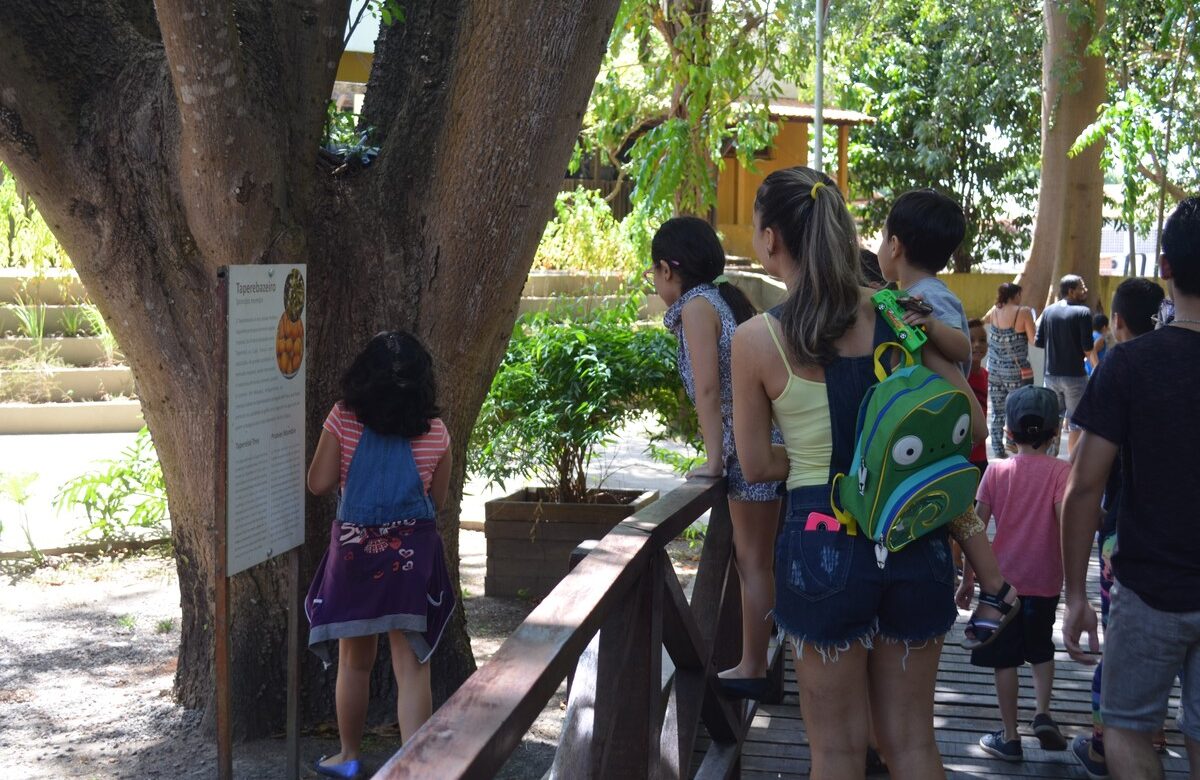 Semana de férias em museu de Macapá terá recreação, jogos e oficinas para as crianças | Amapá