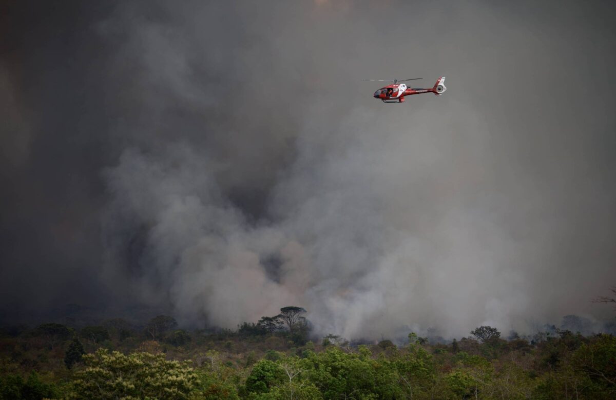 Técnicos: ministério muda de nome sem autoridade climática - 26/09/2024 - Painel