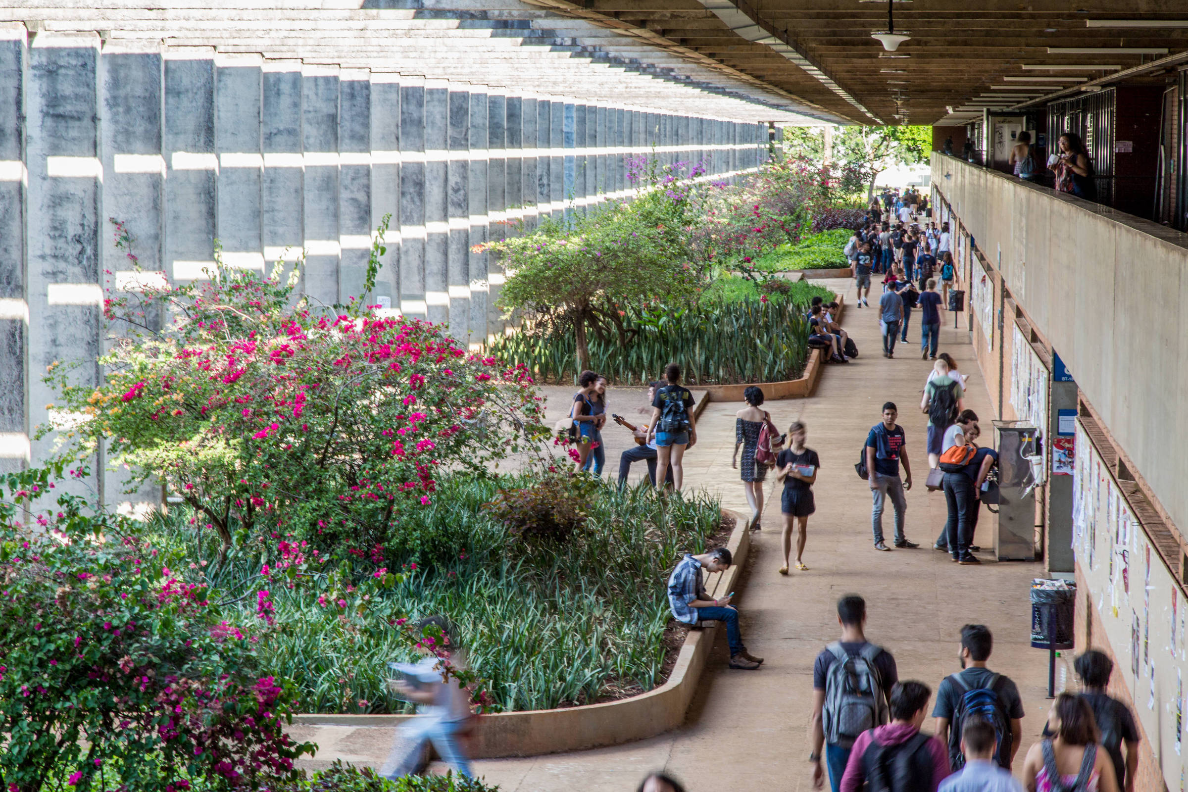 UnB cancela curso com professor de Israel após mobilização – 12/09/2024 – Mônica Bergamo