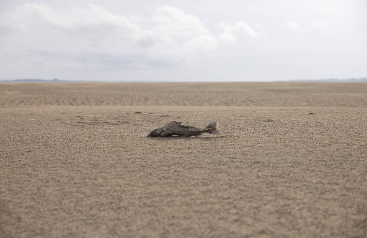 Mundo está ficando sem tempo para evitar mudança climática – 24/07/2025 – Ambiente