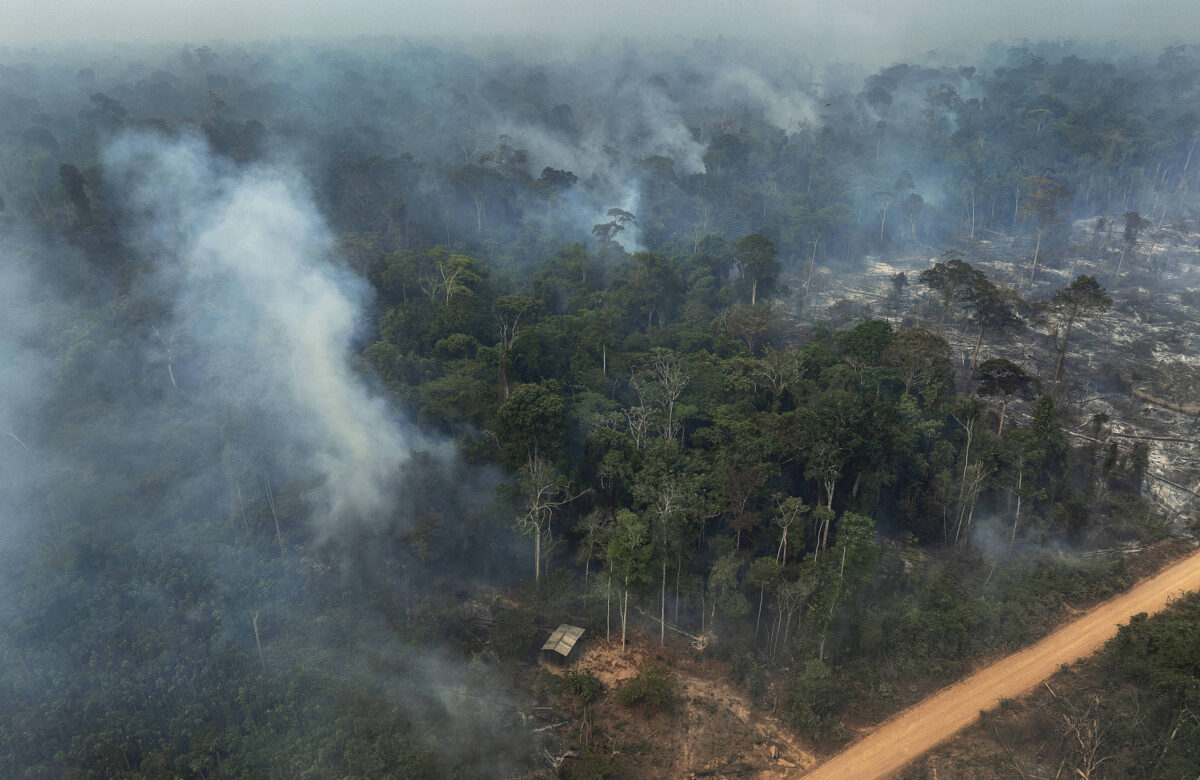 Ibama amplia frentes de combate para lidar com fogo - 22/05/2025 - Ambiente