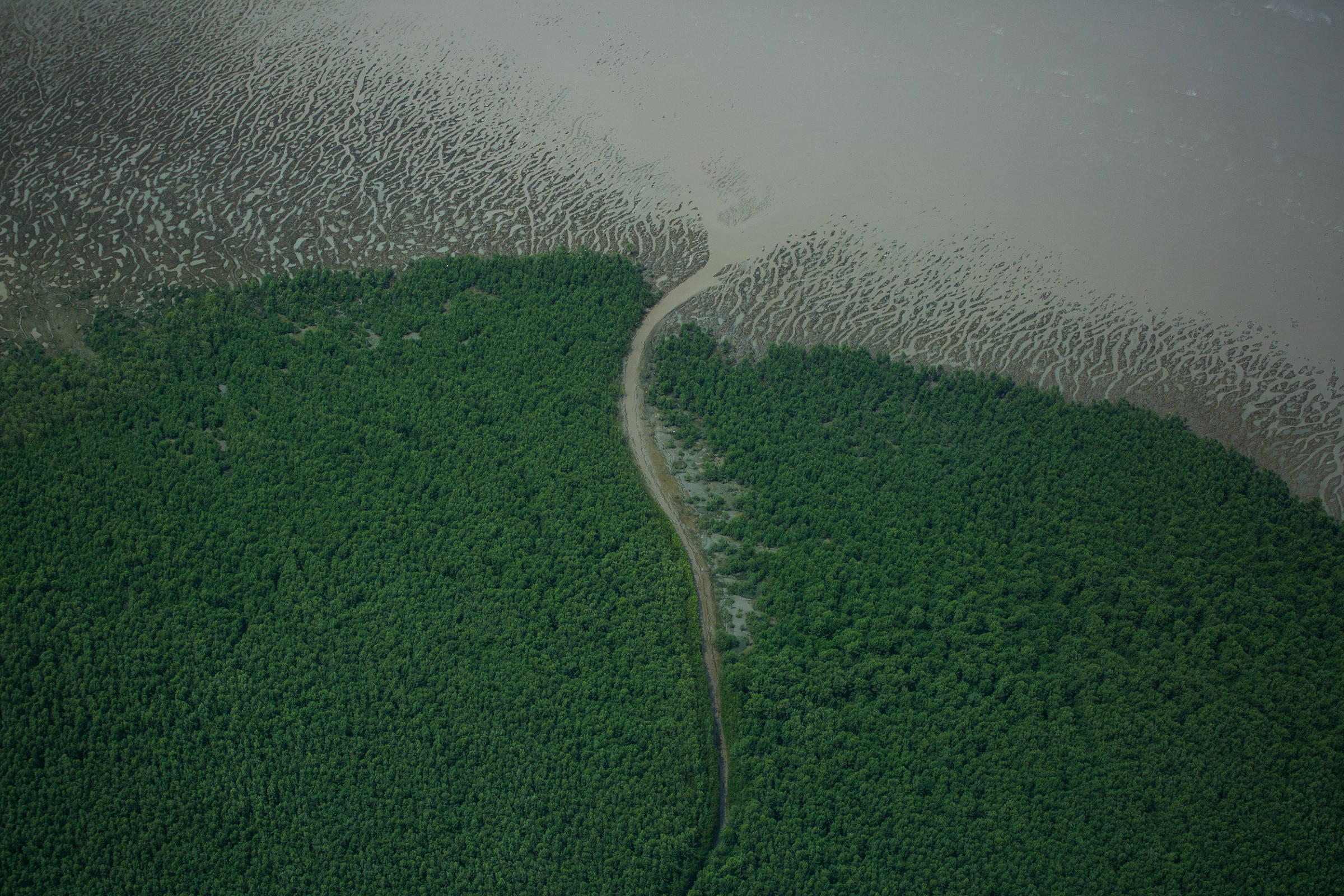Leilão de petróleo põe Brasil no foco de ambientalistas – 16/06/2025 – Ambiente