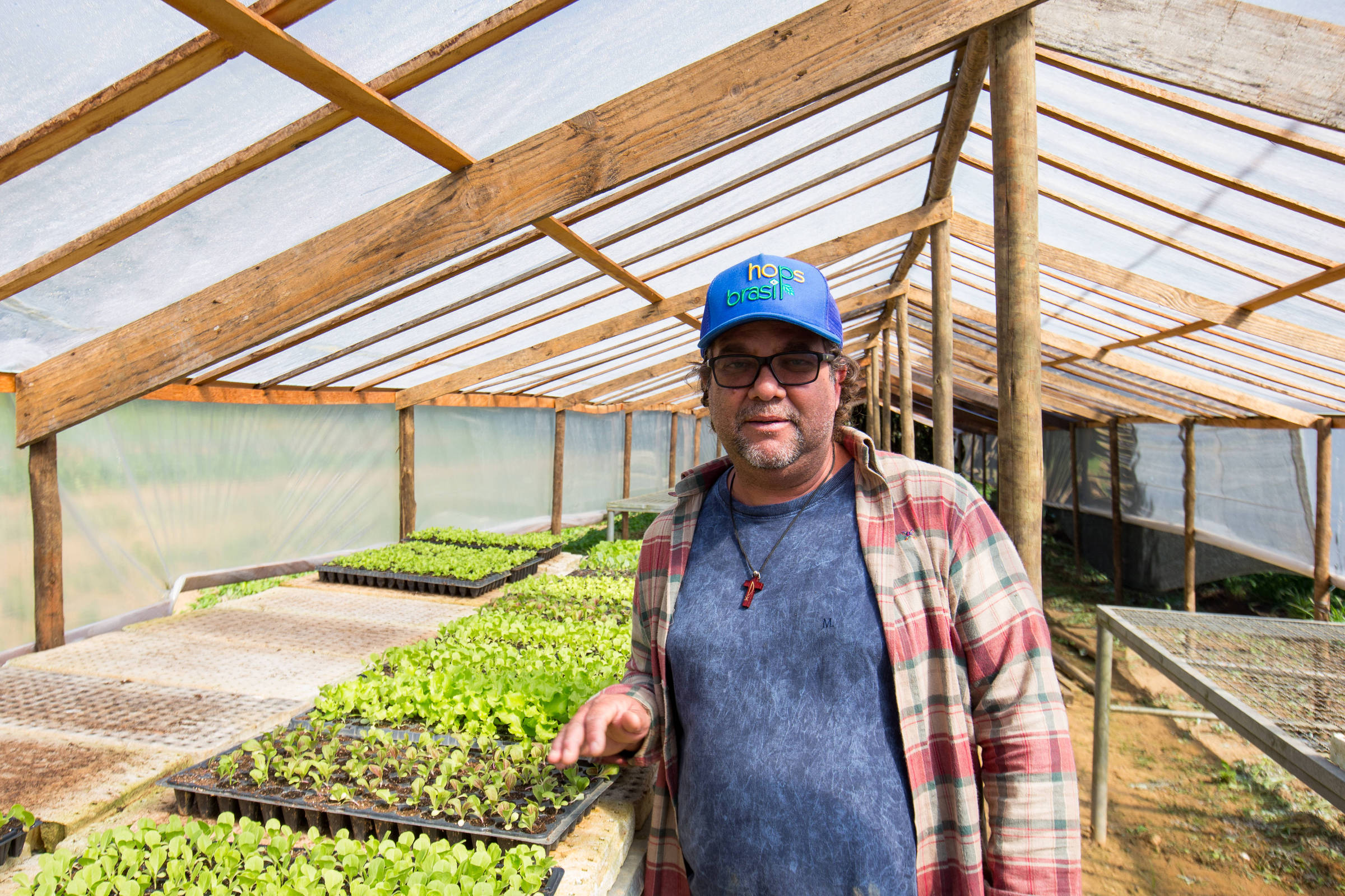 Agricultores de Parelheiros trocam hortaliças por frutas – 27/06/2025 – Ambiente