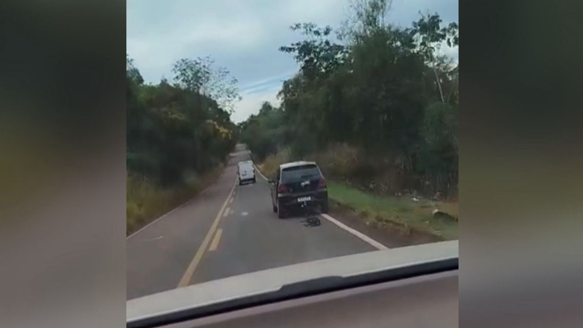 Cachorro é arrastado pelo pescoço por carro na GO-154, próximo a Taquaral; vídeo