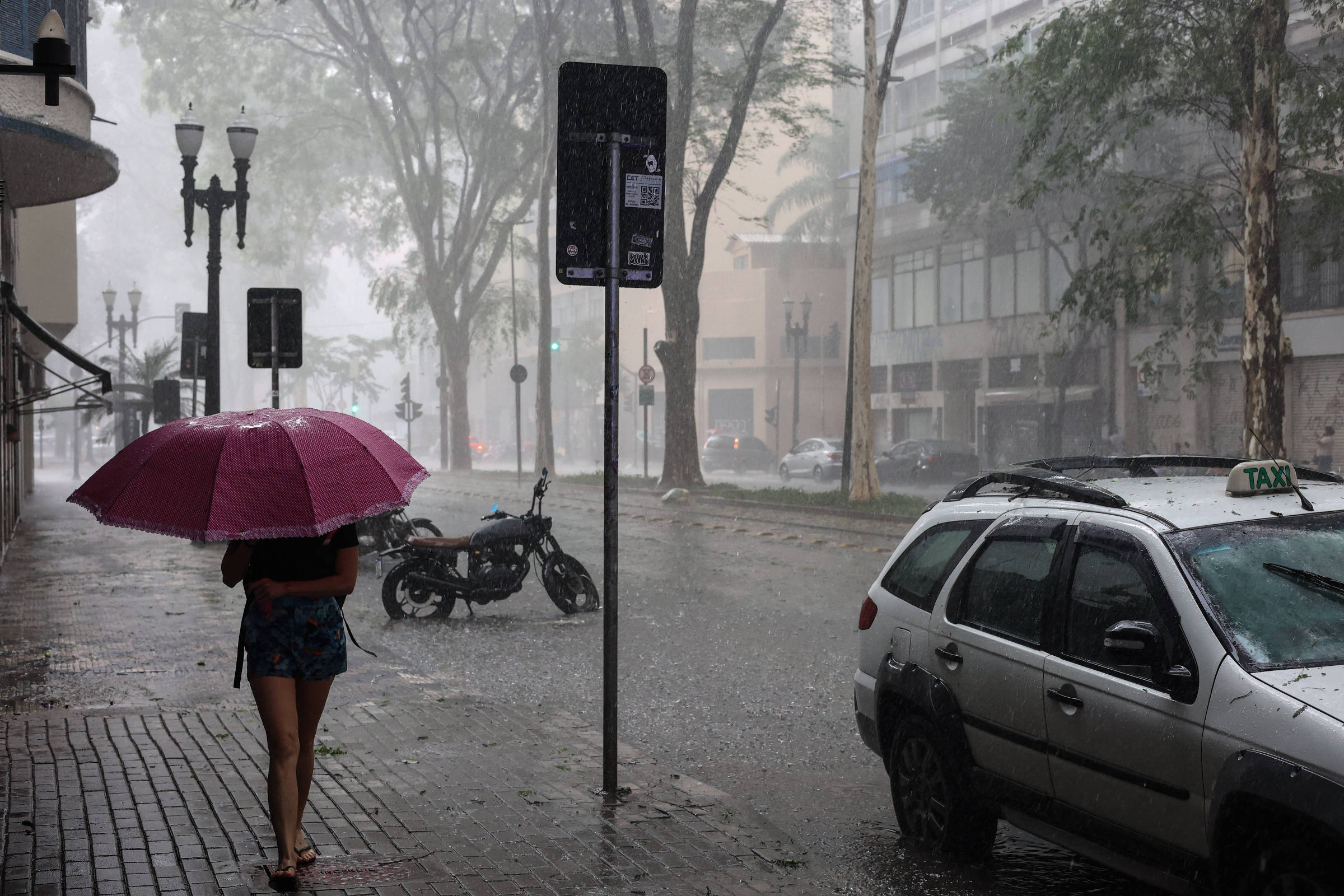 Chuva em SP contém 14 pesticidas, diz estudo da Unicamp – 18/06/2025 – Cotidiano