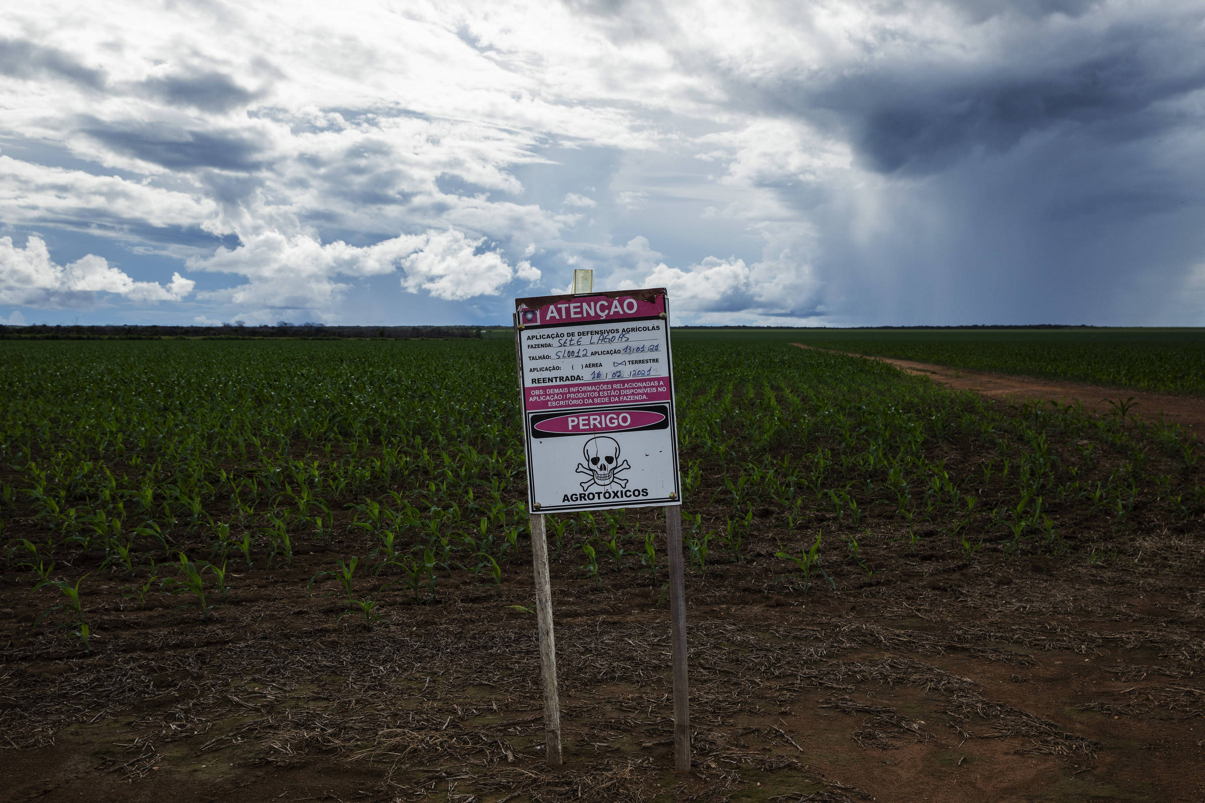 Decreto quer reduzir uso de agrotóxicos no Brasil – 30/06/2025 – Ambiente