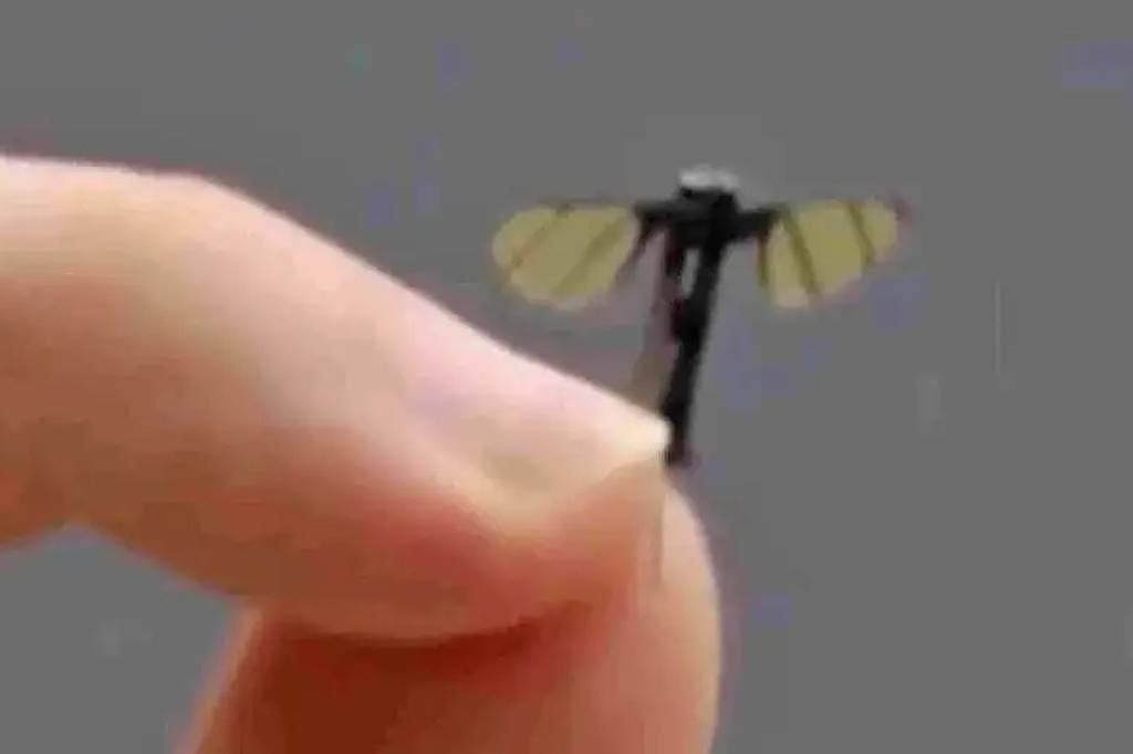 Do tamanho de uma mosca: o novo drone militar da China – 30/06/2025 – Mundo