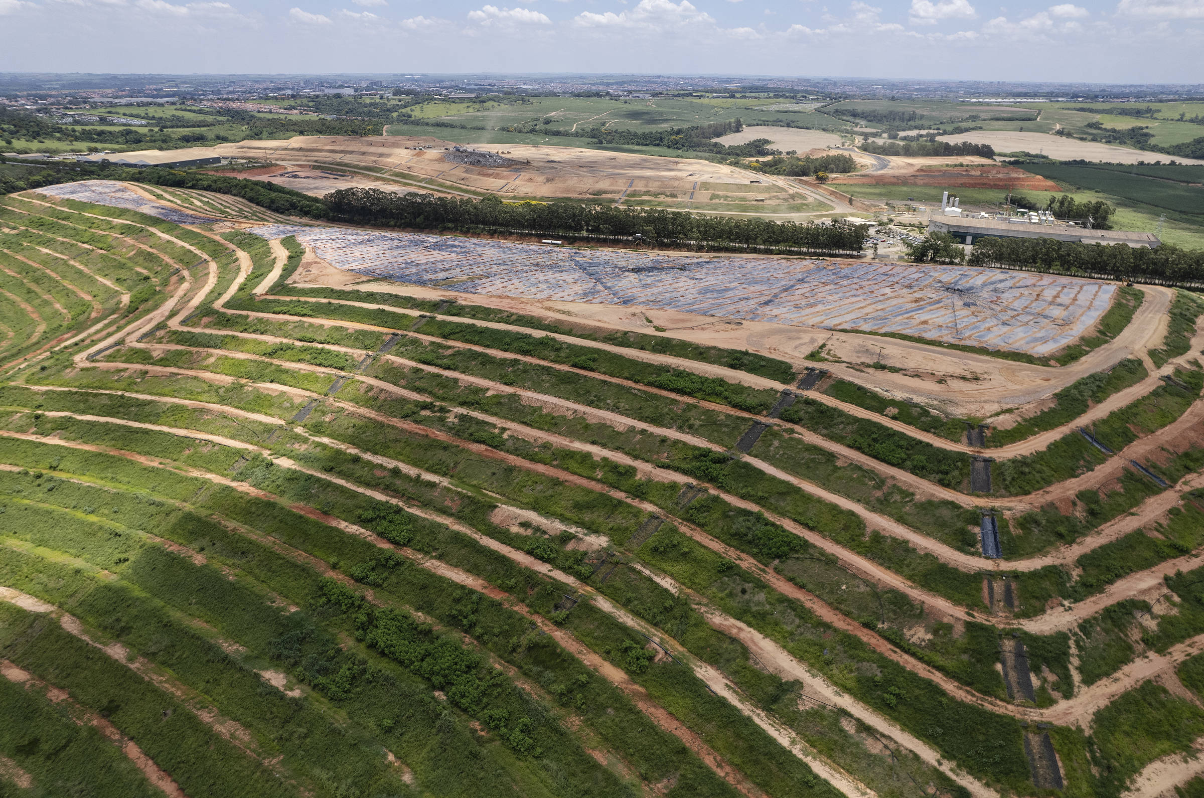 Estudo mostra soluções do Brasil para clima – 17/06/2025 – Ambiente