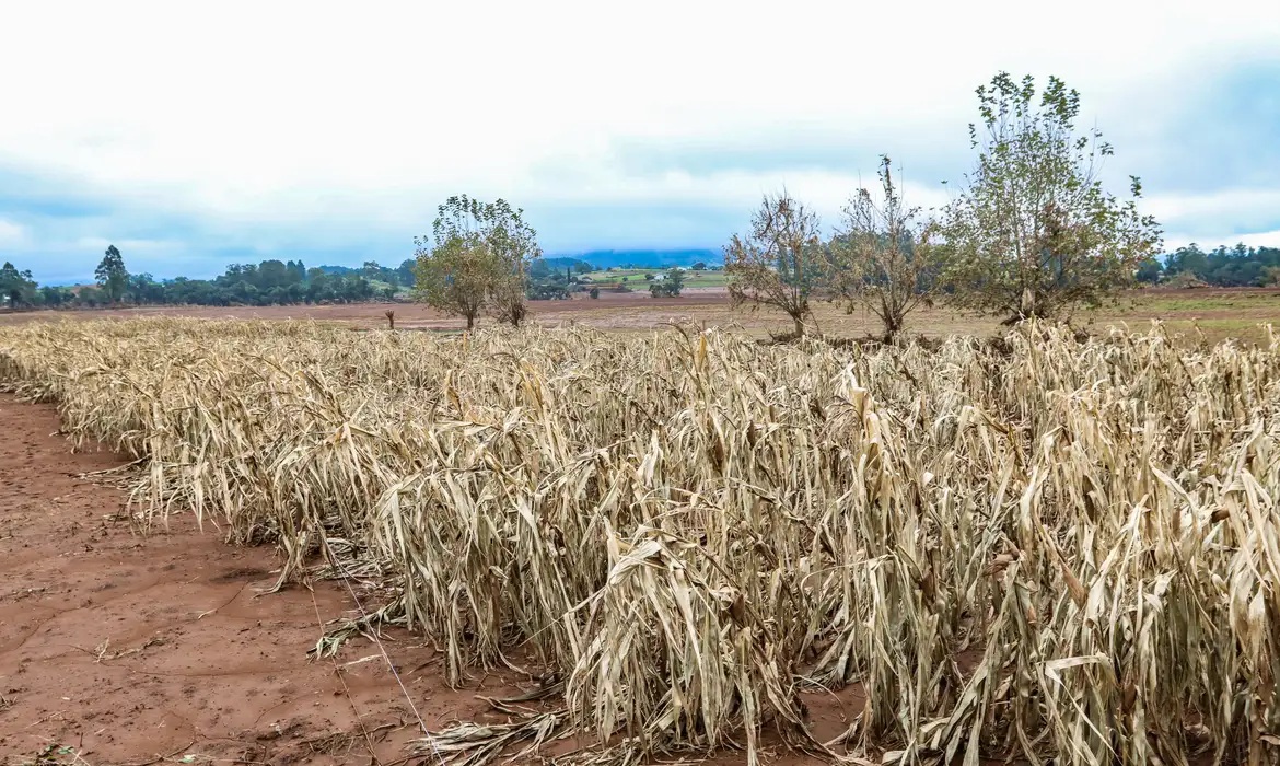 Governo bloqueia 42% do orçamento para seguro rural