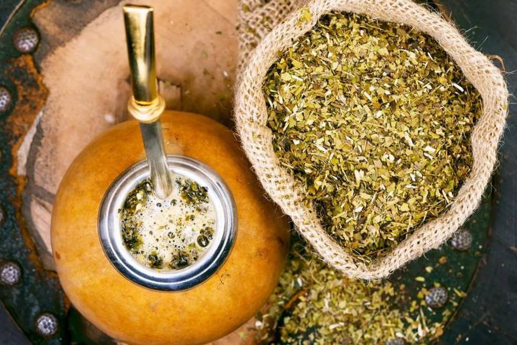 Mudança climática ameaça cultivo de erva-mate, diz estudo – 13/06/2025 – Ambiente