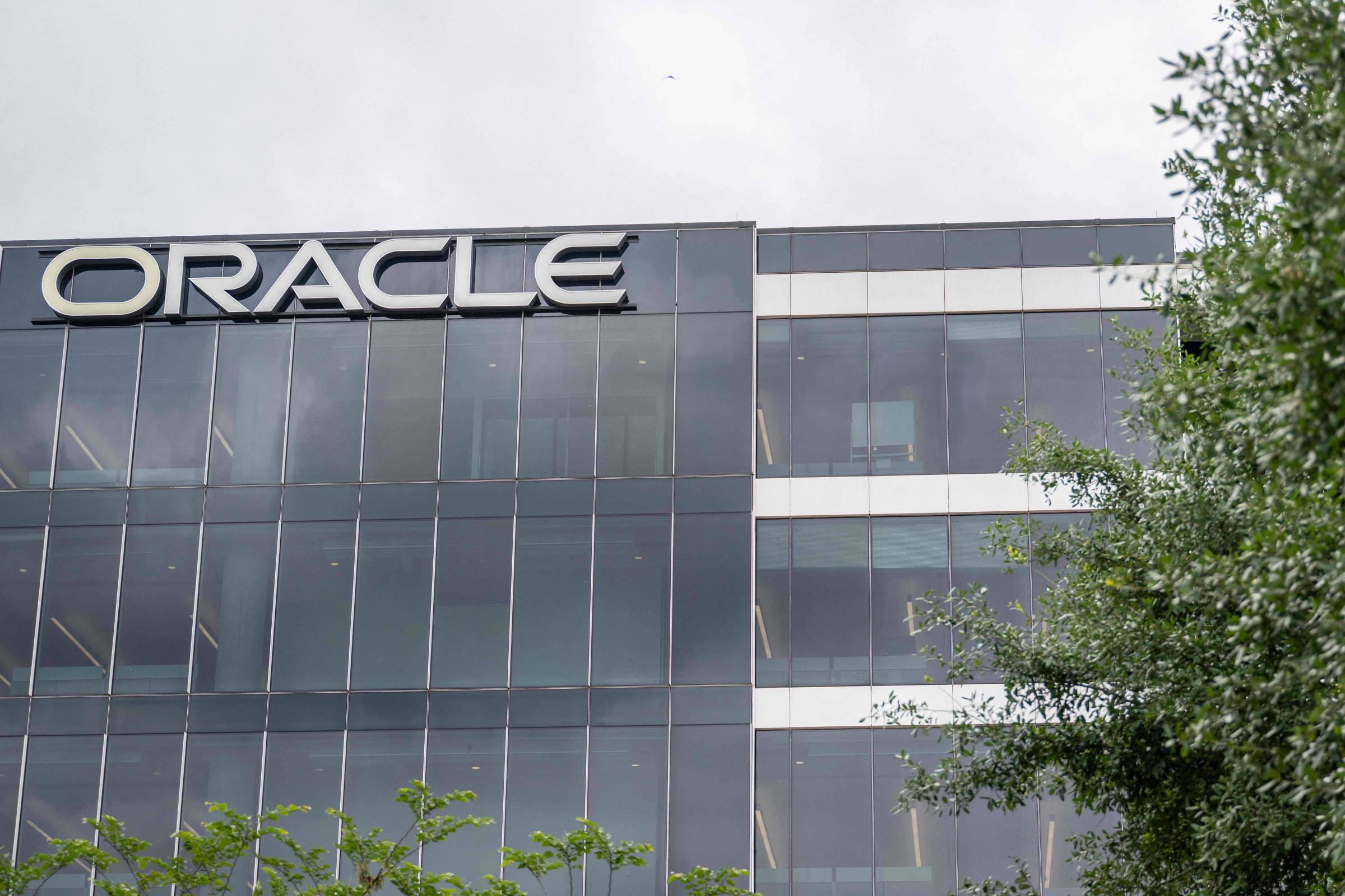 Ações da Oracle atingem recorde histórico – 01/07/2025 – Tec