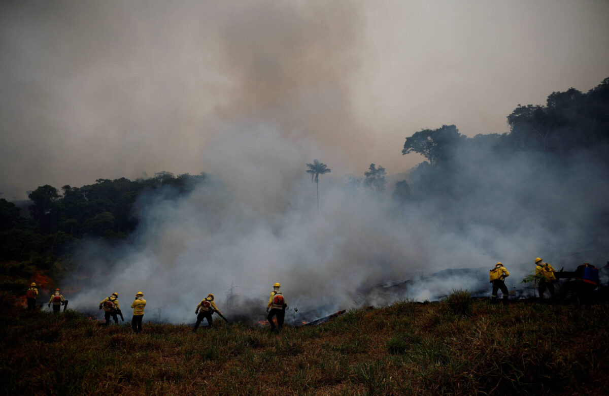 Amazônia: Ação por desmatamento mira suspeito de homicídio - 13/07/2025 - Painel