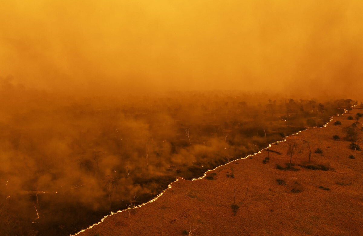 Após incêndios, preservação do pantanal evoluiu – 28/07/2025 – Ambiente
