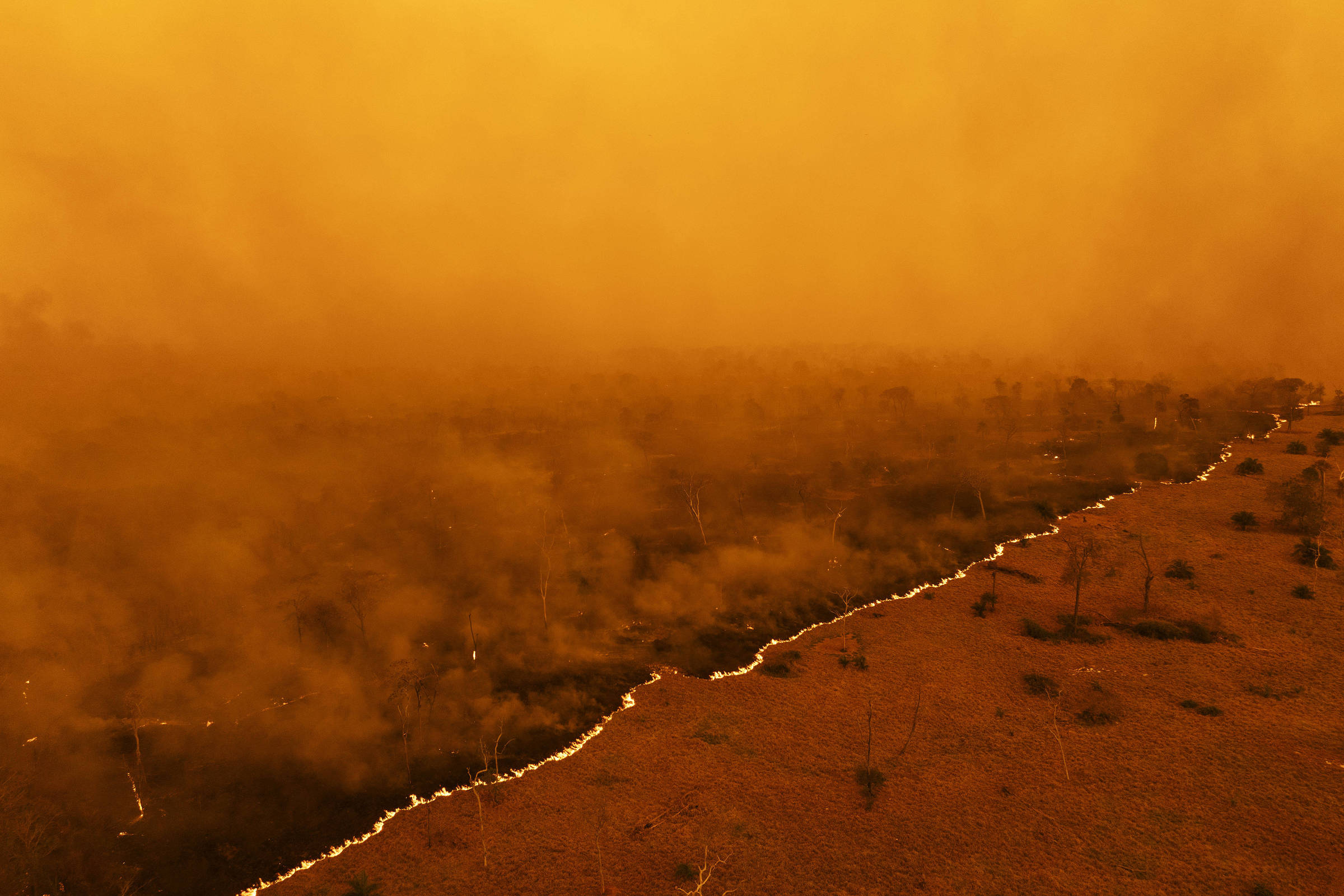 Após incêndios, preservação do pantanal evoluiu – 28/07/2025 – Ambiente
