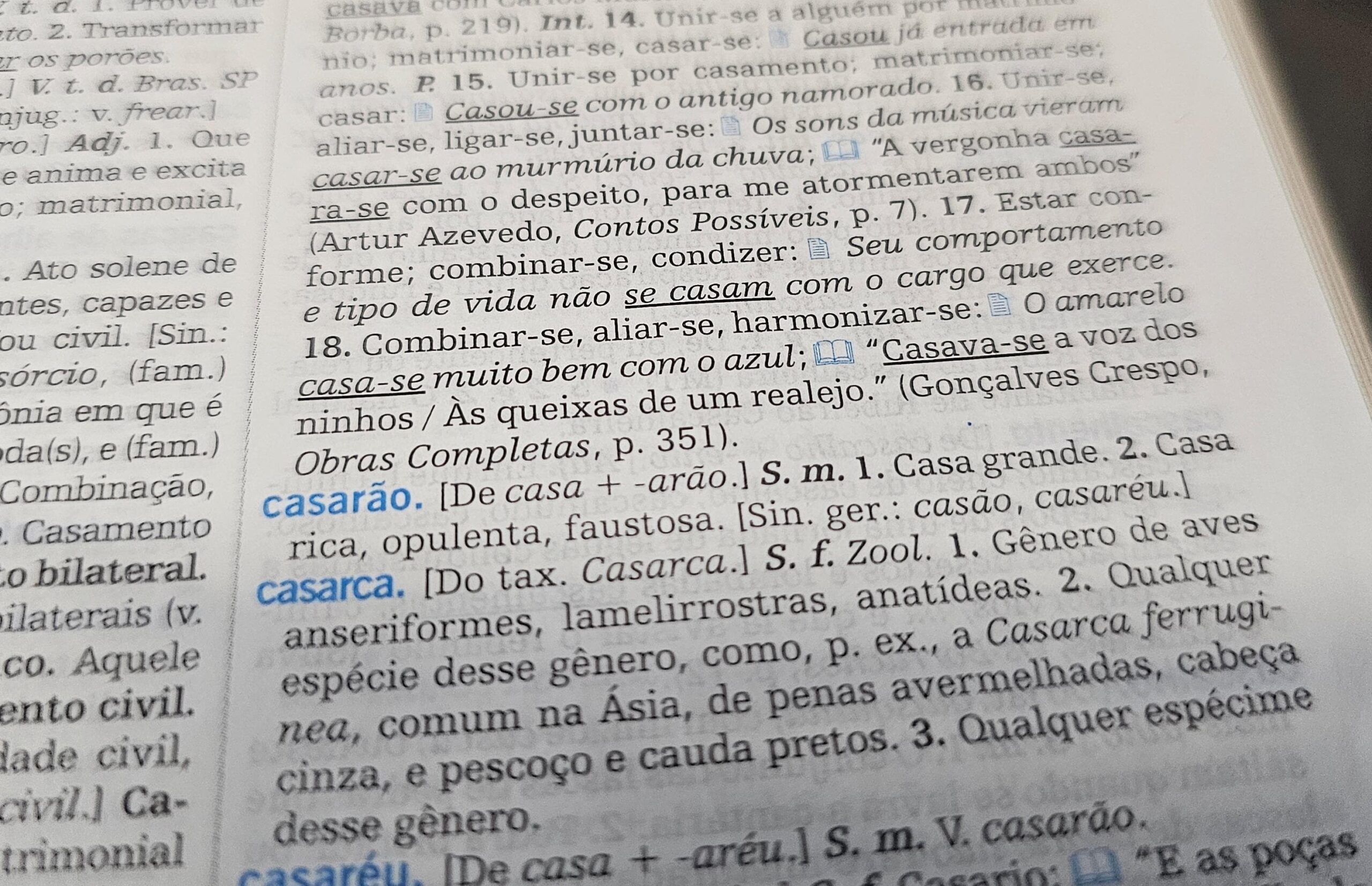 Aumentativos ‘incomuns’ de cão, gato e nariz viralizam; você acertaria? Faça o quiz e descubra | Educação