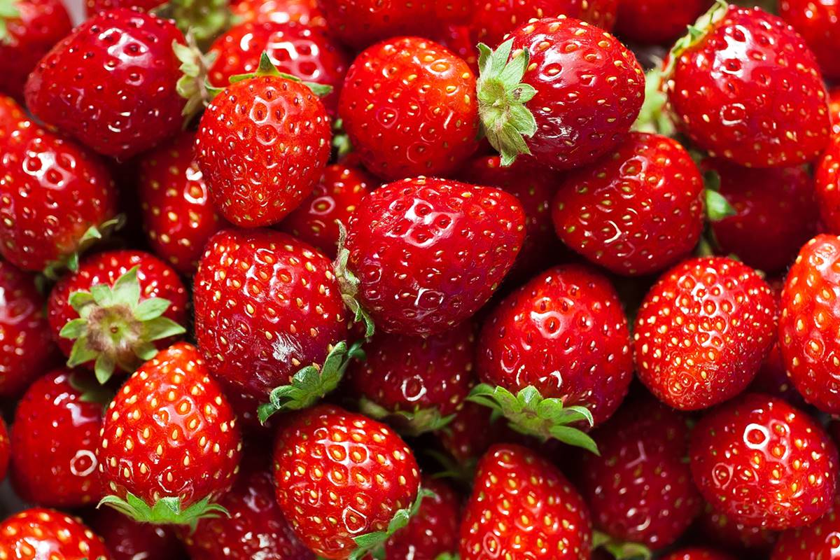 Comer 2 morangos por dia ajuda na saúde? Saiba os benefícios da fruta