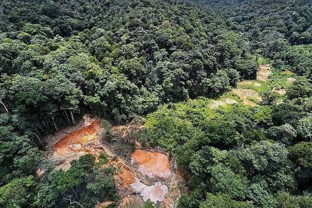 Como a degradação da Amazônia aumenta o risco de pandemias – 16/07/2025 – Equilíbrio e Saúde