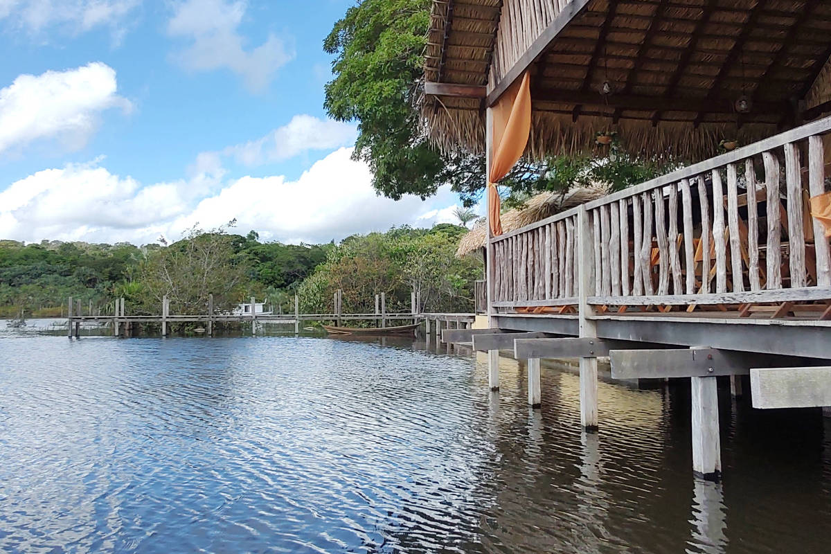 Como é visitar a Floresta Nacional do Tapajós na cheia – 16/07/2025 – Turismo