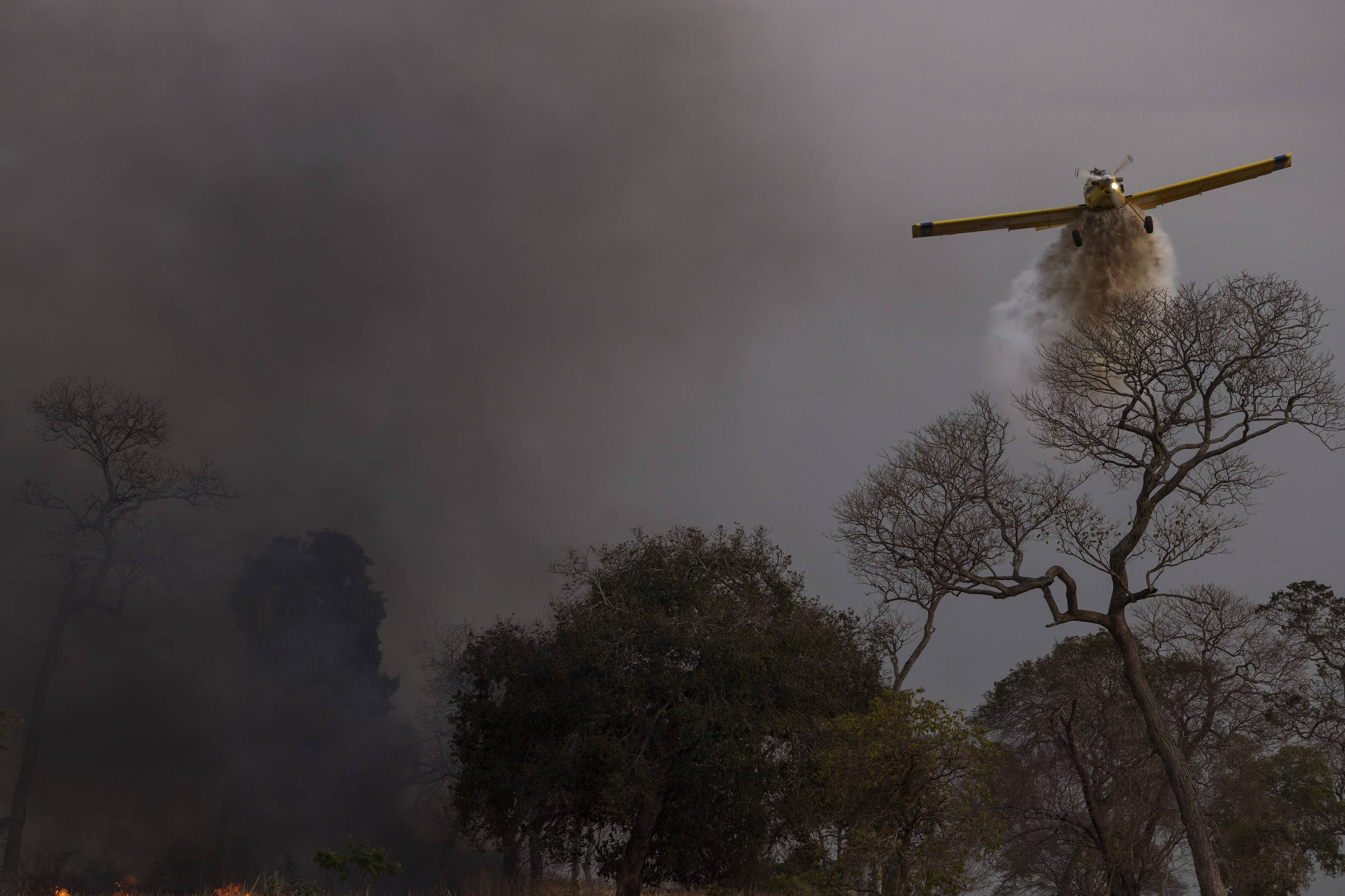 Incêndios florestais caem pela metade no 1º semestre – 01/07/2025 – Painel