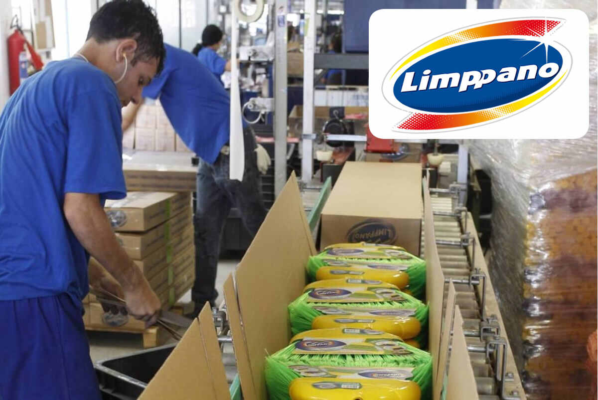 Junte-se A Uma Empresa Brasileira De Sucesso!