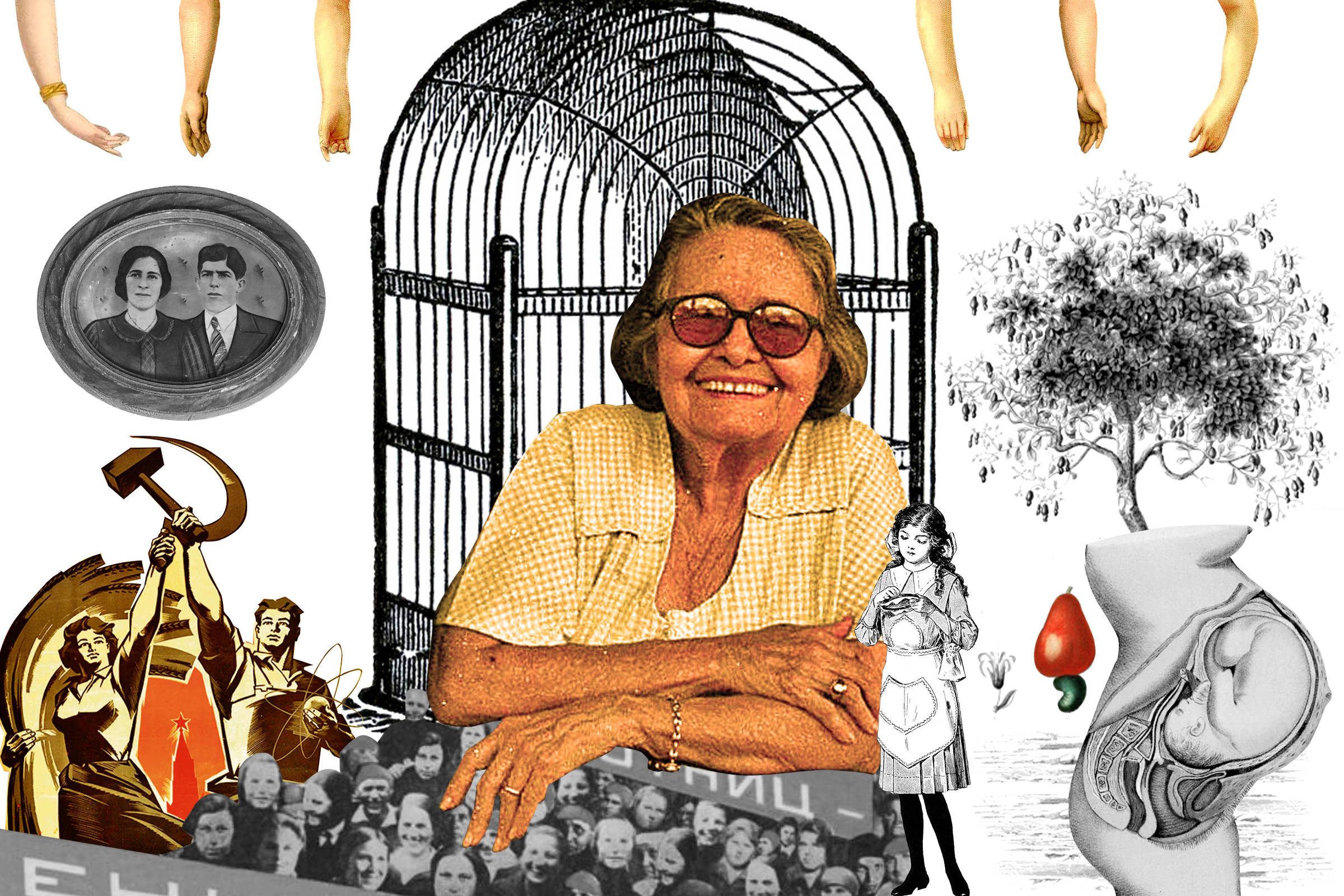 Livros Fuvest 2026: saiba tudo sobre Caminho de Pedras – 14/07/2025 – Educação