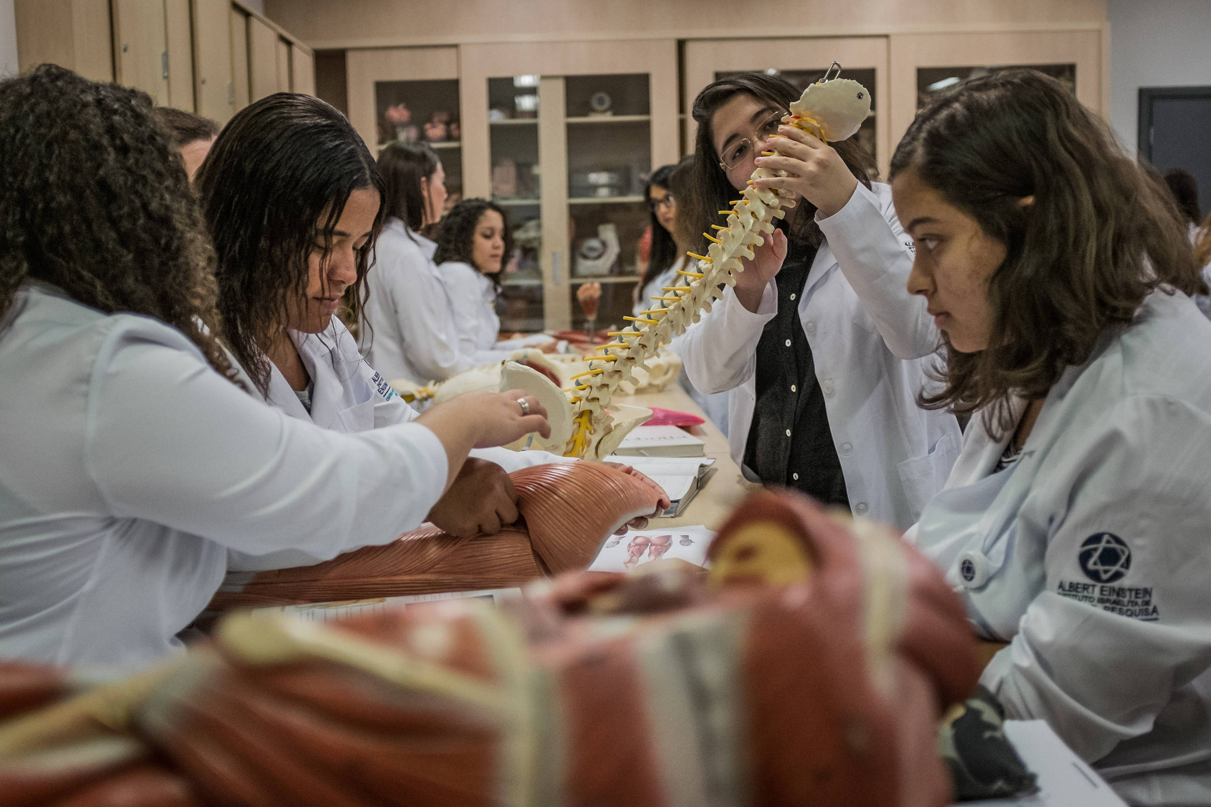 Medicina: Einstein abre inscrições para vestibular 2026 – 23/07/2025 – Educação