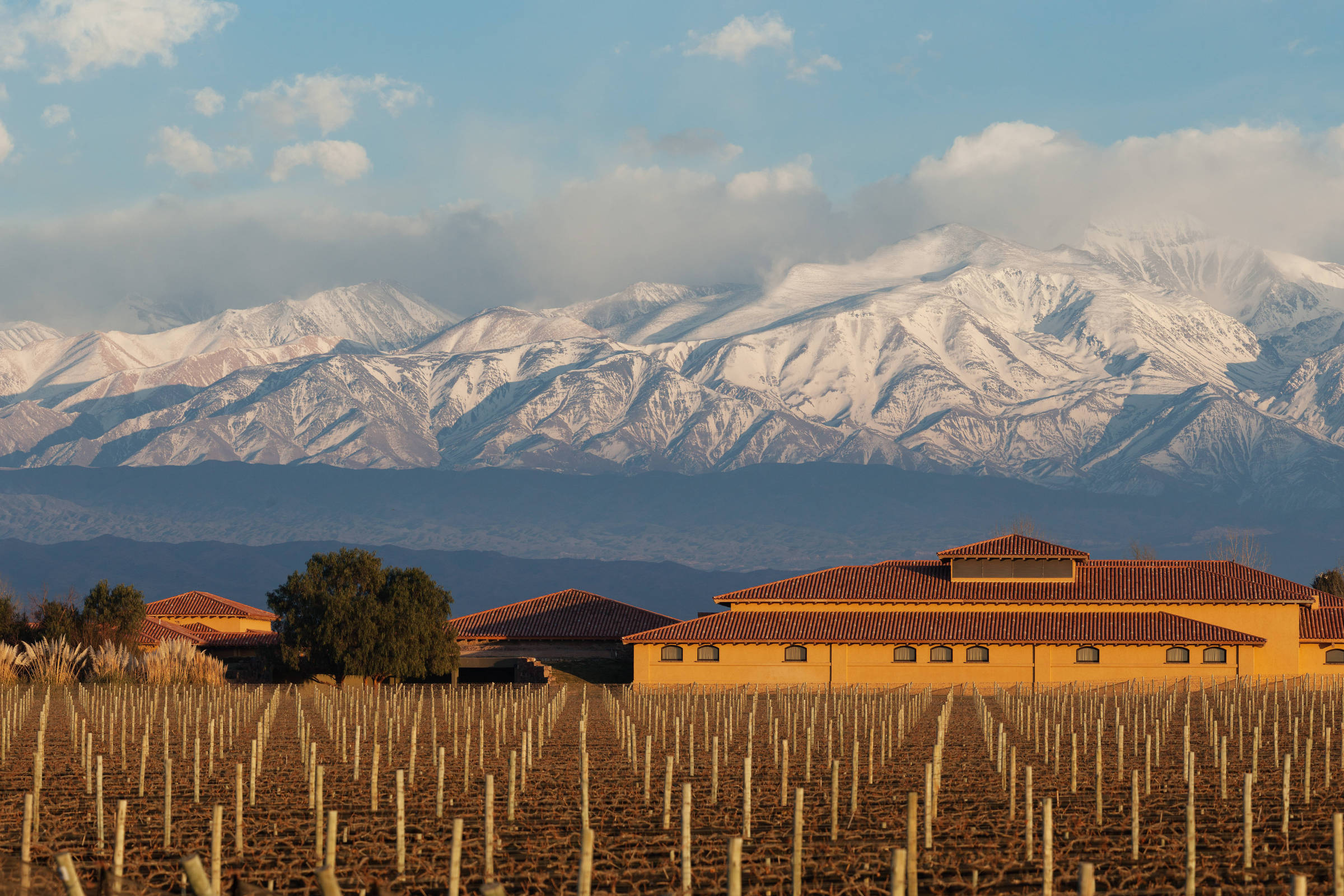 Mendoza, Argentina: o que conhecer na província do malbec – 28/07/2025 – Turismo