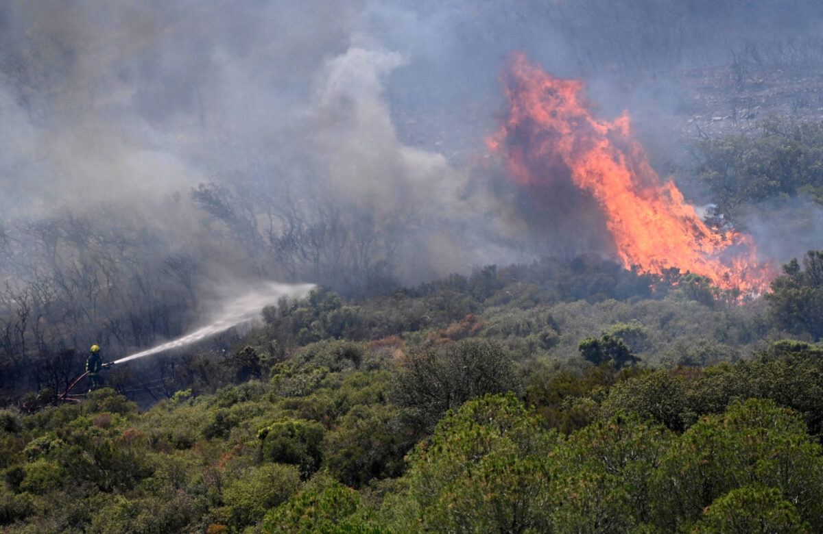 A imagem mostra um incêndio florestal em uma área de vegetação. Chamas intensas estão visíveis à direita, enquanto fumaça densa se espalha pelo ar. Um bombeiro, visível à esquerda, está utilizando um equipamento para combater o fogo, direcionando água em direção às chamas. A vegetação ao redor é predominantemente verde, mas algumas áreas estão queimadas.