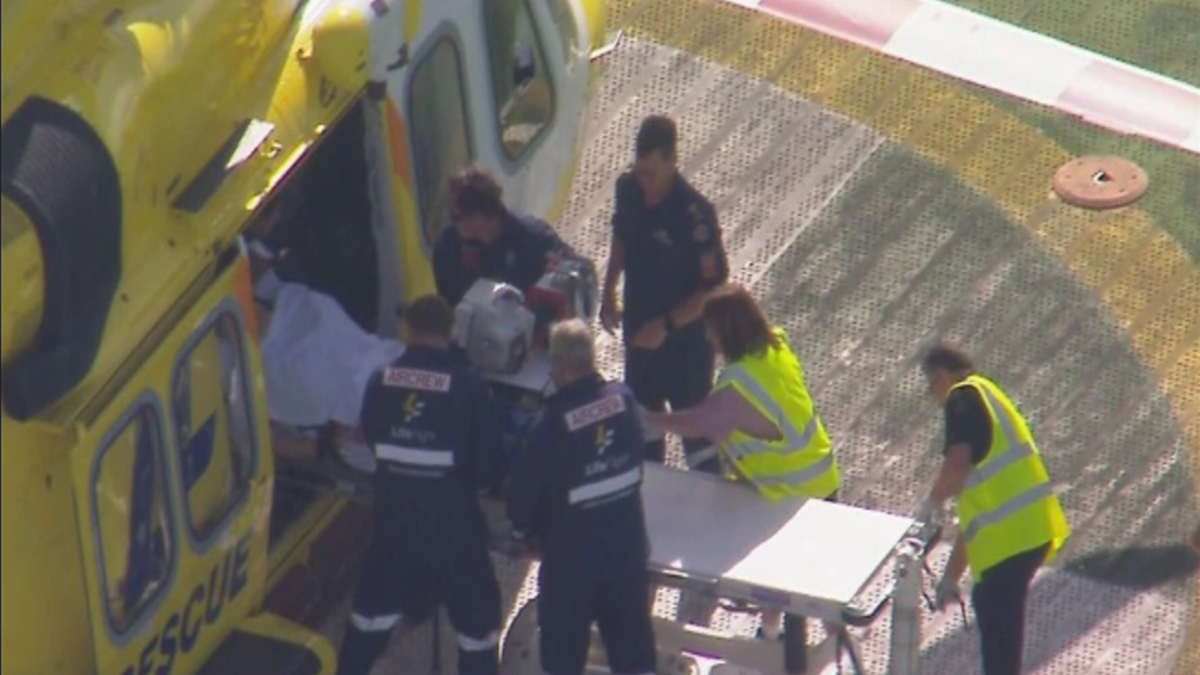 Mulher é atacada por leão em zoológico na Austrália