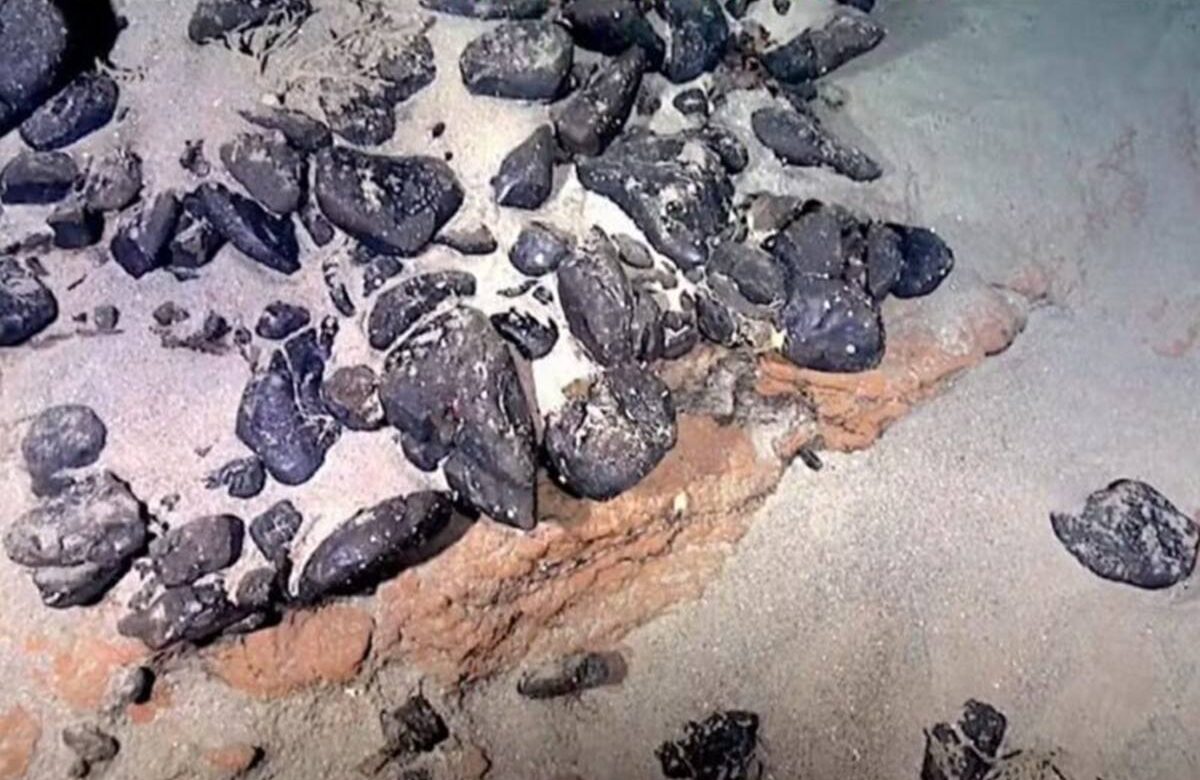 O que existe na “ilha submersa” que pode mudar o futuro do Brasil