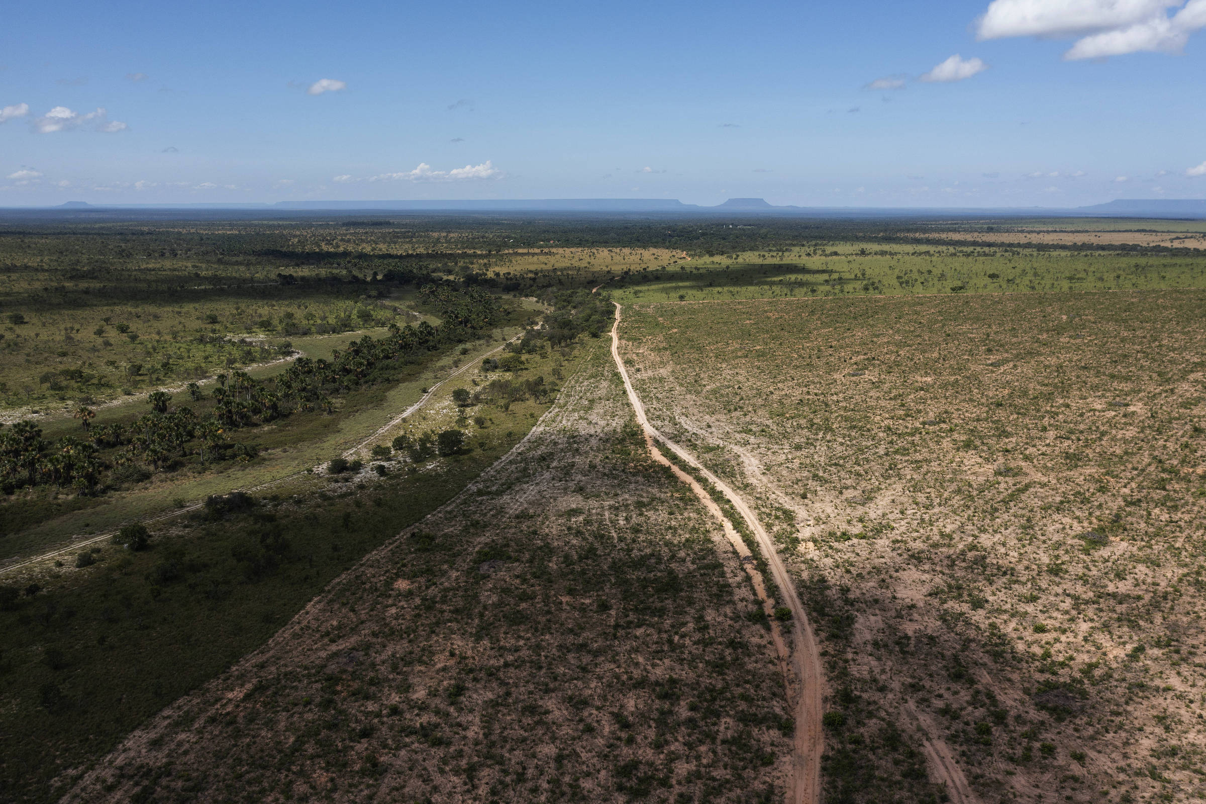 Tocantins: Ativistas vão ao MPF contra projeto de carbono – 10/07/2025 – Ambiente