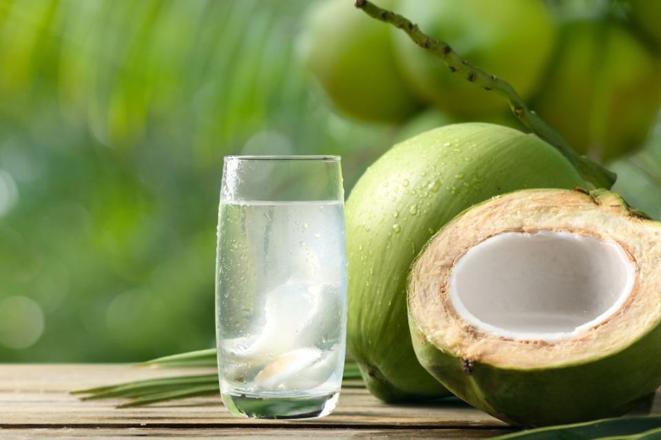 Transplante: técnica brasileira permite conservar rins em água de coco